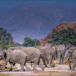 Photo ALTAÏR conférences - Namibie, époustouflante par nature