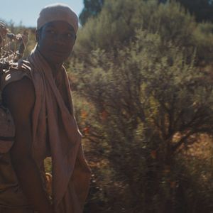 Photo The Wilderness
