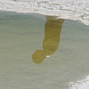 Photo A solidão dos lagartos