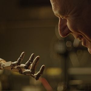 Photo Simon Davies (II)