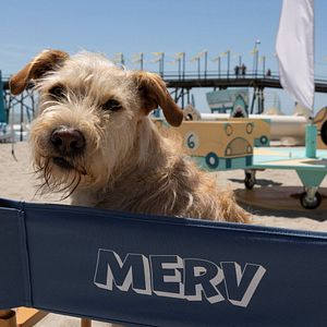 Photo Merv