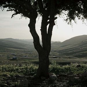 Photo Sinjar, naissance des fantômes
