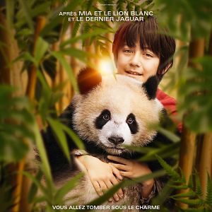 Photo Moon Le Panda
