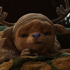 Photo One Piece (2023)