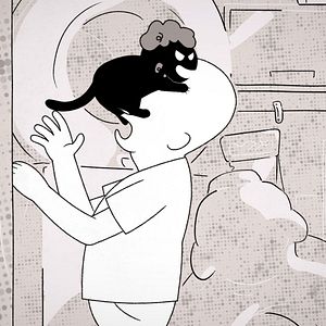 Photo Putain de chat !