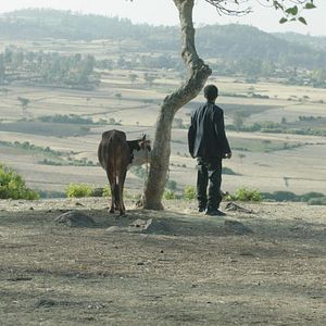 Photo Alazar
