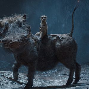 Photo Mufasa : Le Roi Lion