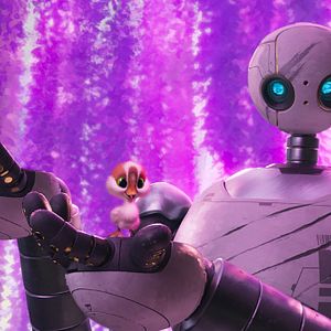 Photo Le Robot Sauvage