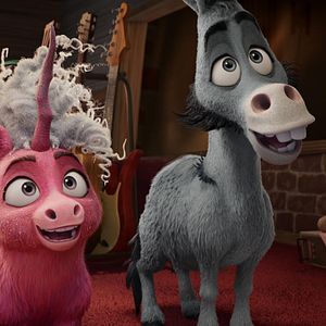 Photo Thelma la licorne
