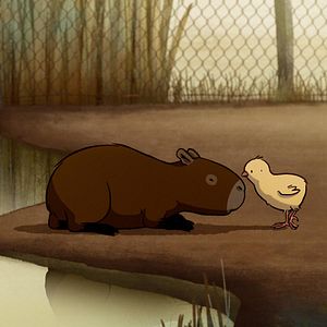 Photo Une guitare à la mer