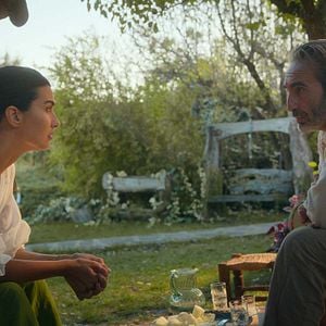 Photo Le Chemin de l'olivier