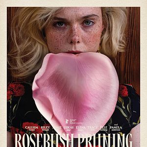 Photo Rosebush Pruning