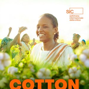 Photo Cotton Queen