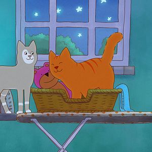 Photo Tom le chat - À la recherche du doudou perdu