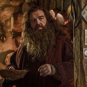 Photo Harry Potter à l'école des sorciers