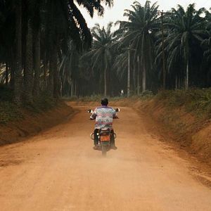 Photo Pilleurs de terre