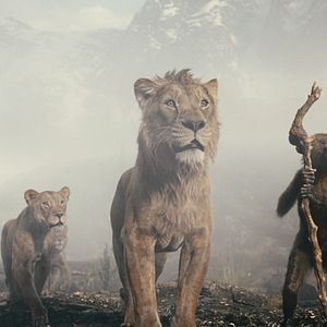 Photo Mufasa : Le Roi Lion