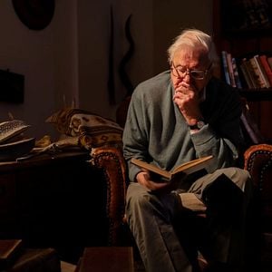 Photo Une histoire de gorilles avec David Attenborough