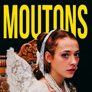 Photo Moutons