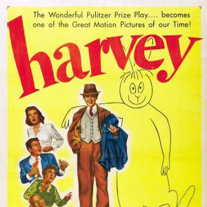 Photo Harvey