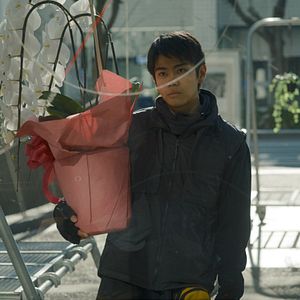 Photo Des Fleurs pour Tokyo