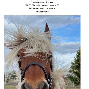 Photo L’Élégant cheval de la Loire