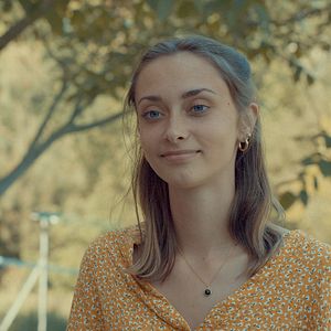 Photo Se souvenir des tournesols