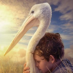 Photo Storm Boy