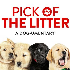 Photo Pick of the Litter