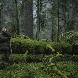 Photo Le Chant des forêts