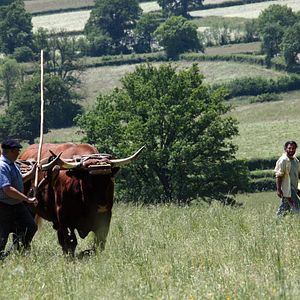 Photo C'est le monde à l'envers !