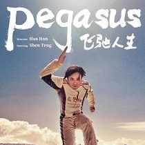 Photo Pegasus