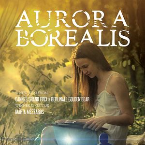 Photo Aurora Borealis : Északi fény