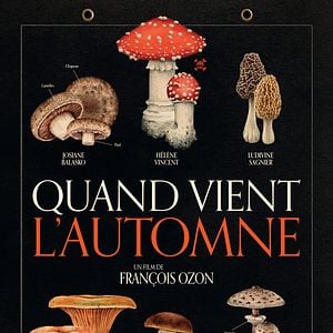 Photo Quand vient l’automne