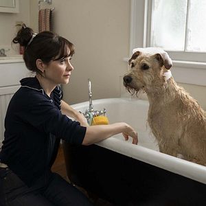 Photo Zooey Deschanel