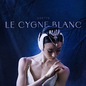 Photo Le lac des cygnes