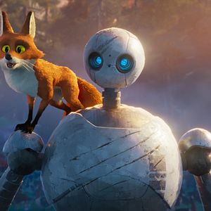 Photo Le Robot Sauvage