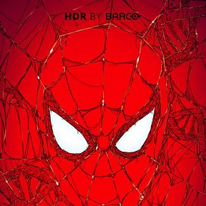 Photo Spider-Man: Brand New Day