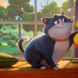 Photo Croquette le chat merveilleux