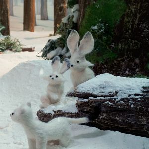 Photo Cinema dei Piccoli