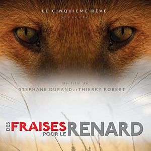 Photo Des fraises pour le renard