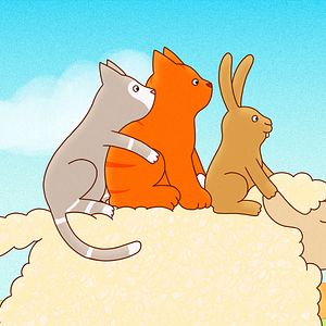 Photo Tom le chat - À la recherche du doudou perdu