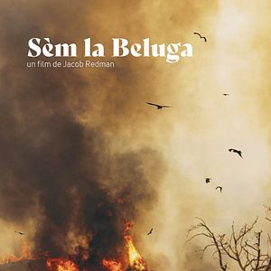 Photo SEM LA BELUGA