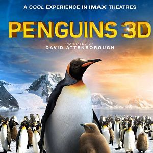 Photo Adventures Of The Penguin King