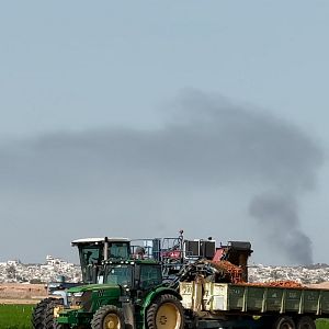 Photo Collapse (Face à Gaza)