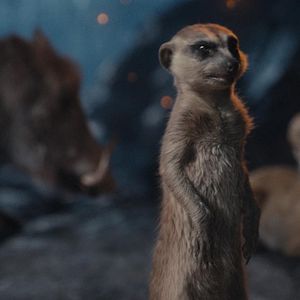 Photo Mufasa : Le Roi Lion