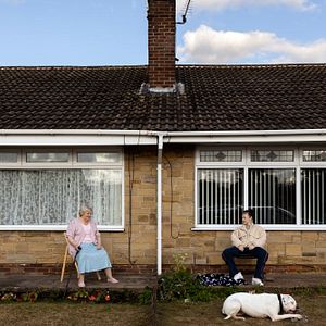 Photo Dragonfly