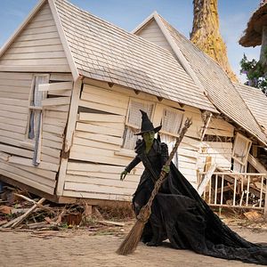 Photo Wicked : partie II