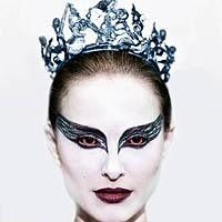 Photo Black Swan