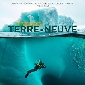 Photo Le trésor de l’île de terre neuve